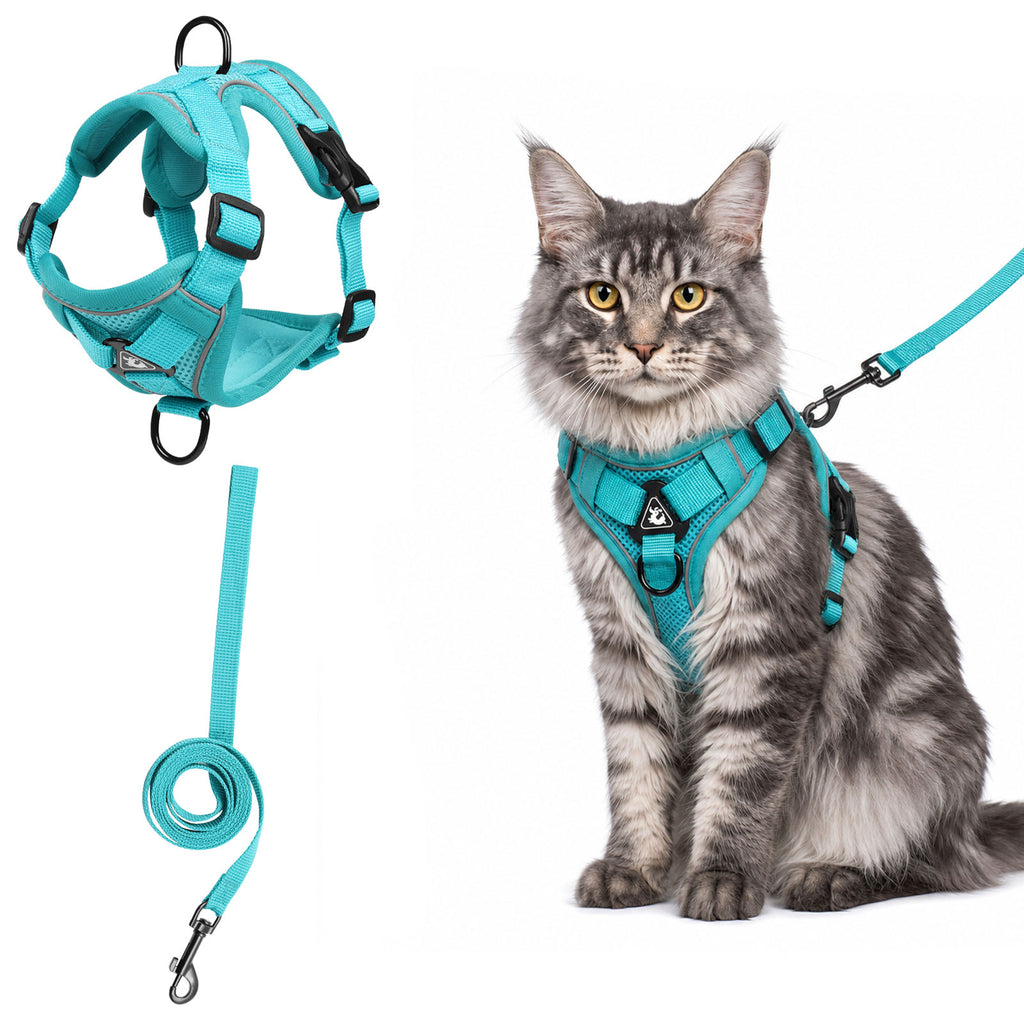 Cat Harness and Leash Set| Escape Proof Adjustable Mesh Vest with Reflective Strips, No-Choke Soft Breathable Harness for Medium Kitten