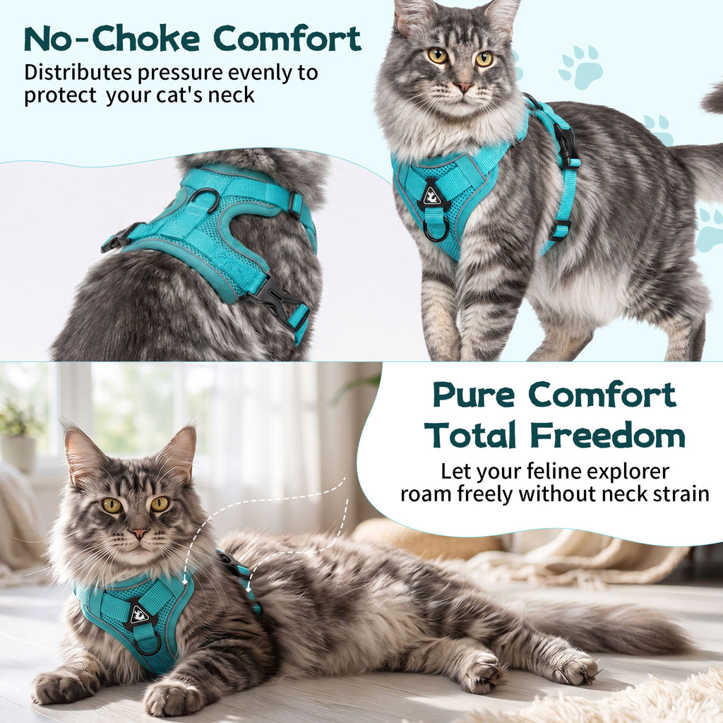 Cat Harness and Leash Set| Escape Proof Adjustable Mesh Vest with Reflective Strips, No-Choke Soft Breathable Harness for Medium Kitten