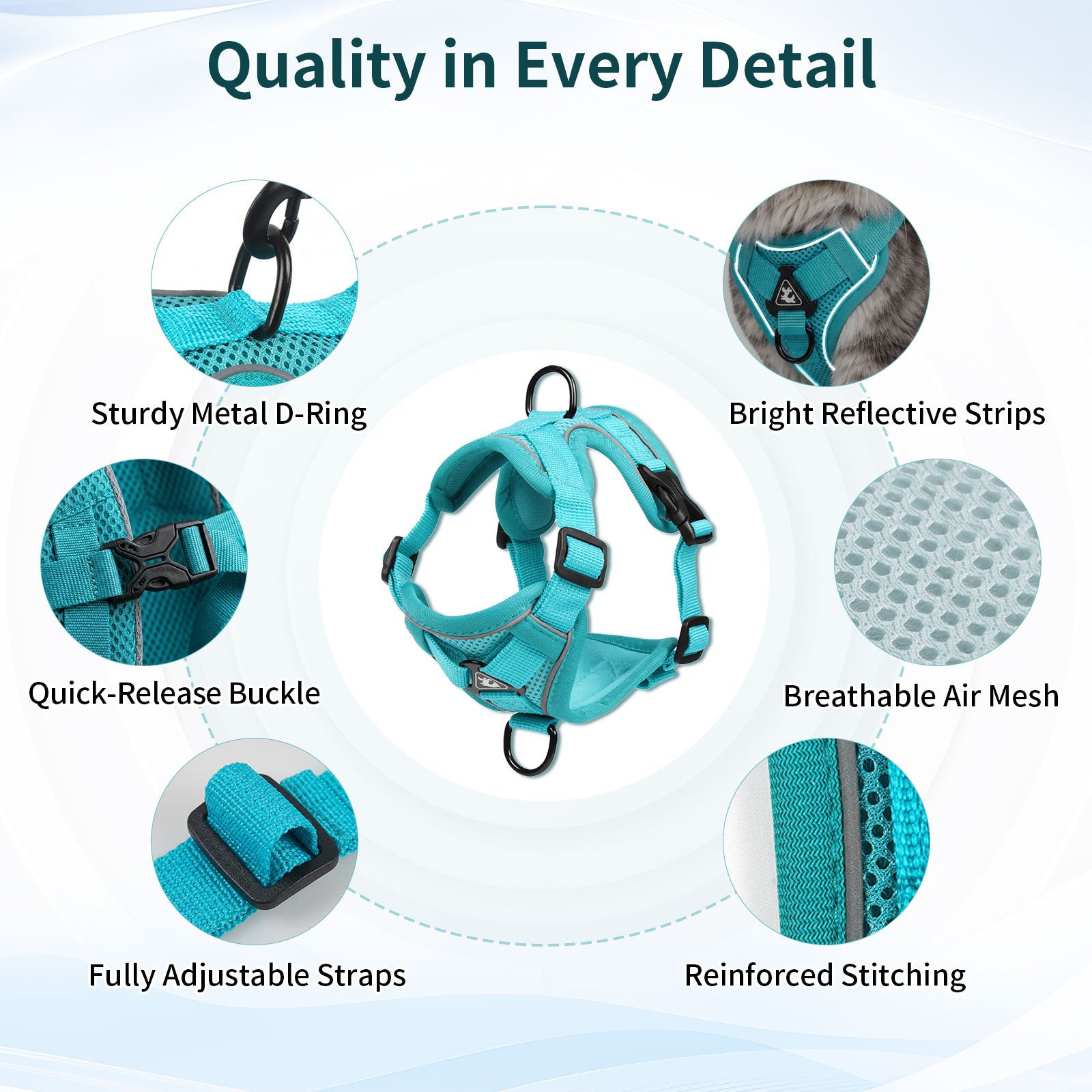 Cat Harness and Leash Set| Escape Proof Adjustable Mesh Vest with Reflective Strips, No-Choke Soft Breathable Harness for Medium Kitten