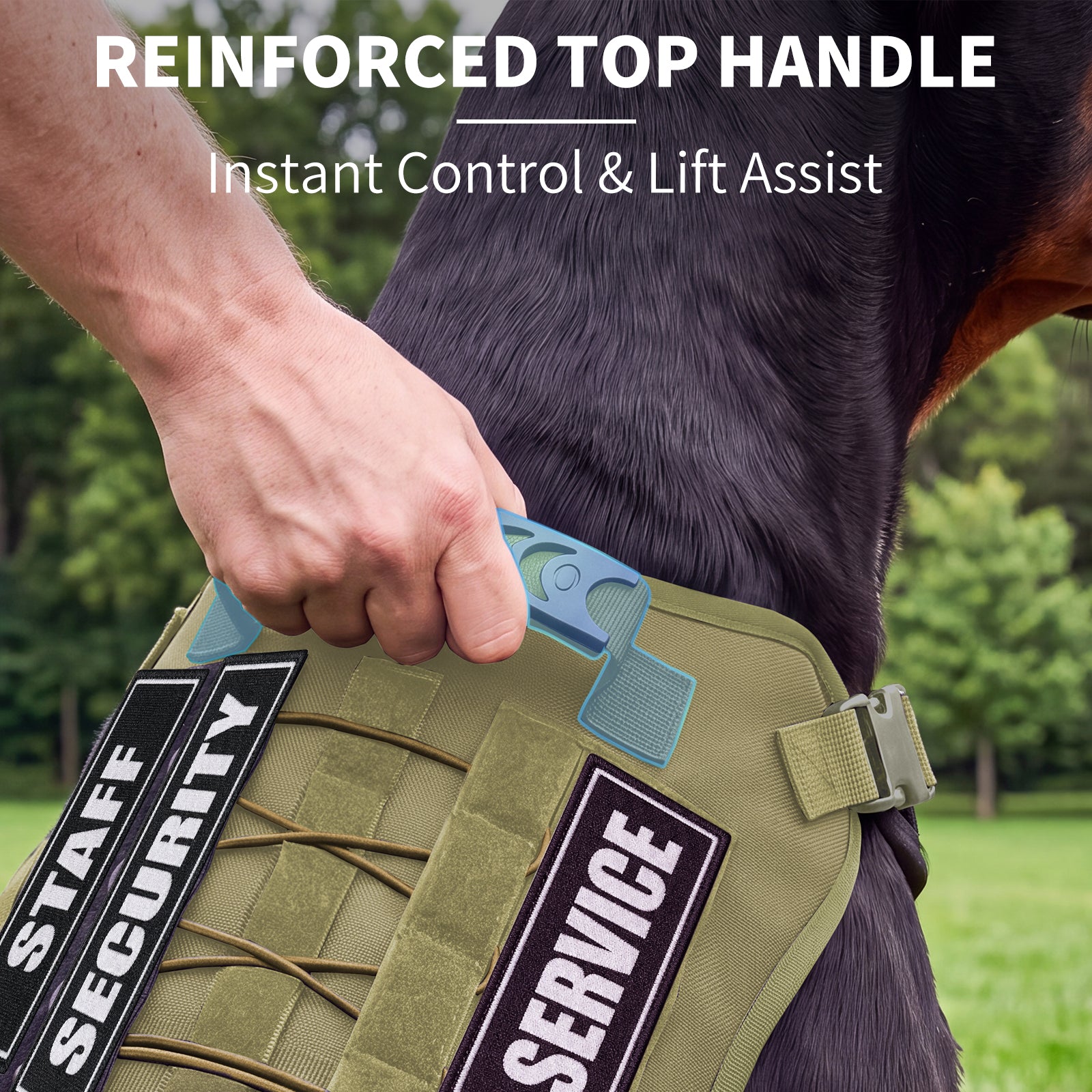 Tactical Dog Harness for Medium Dogs, Heavy Duty No Pull Dog Harness with Handle, Adjustable 6-Buckle Pet Vest for Pitbull, Border Collie, Boxer, Walking, Training, Hunting