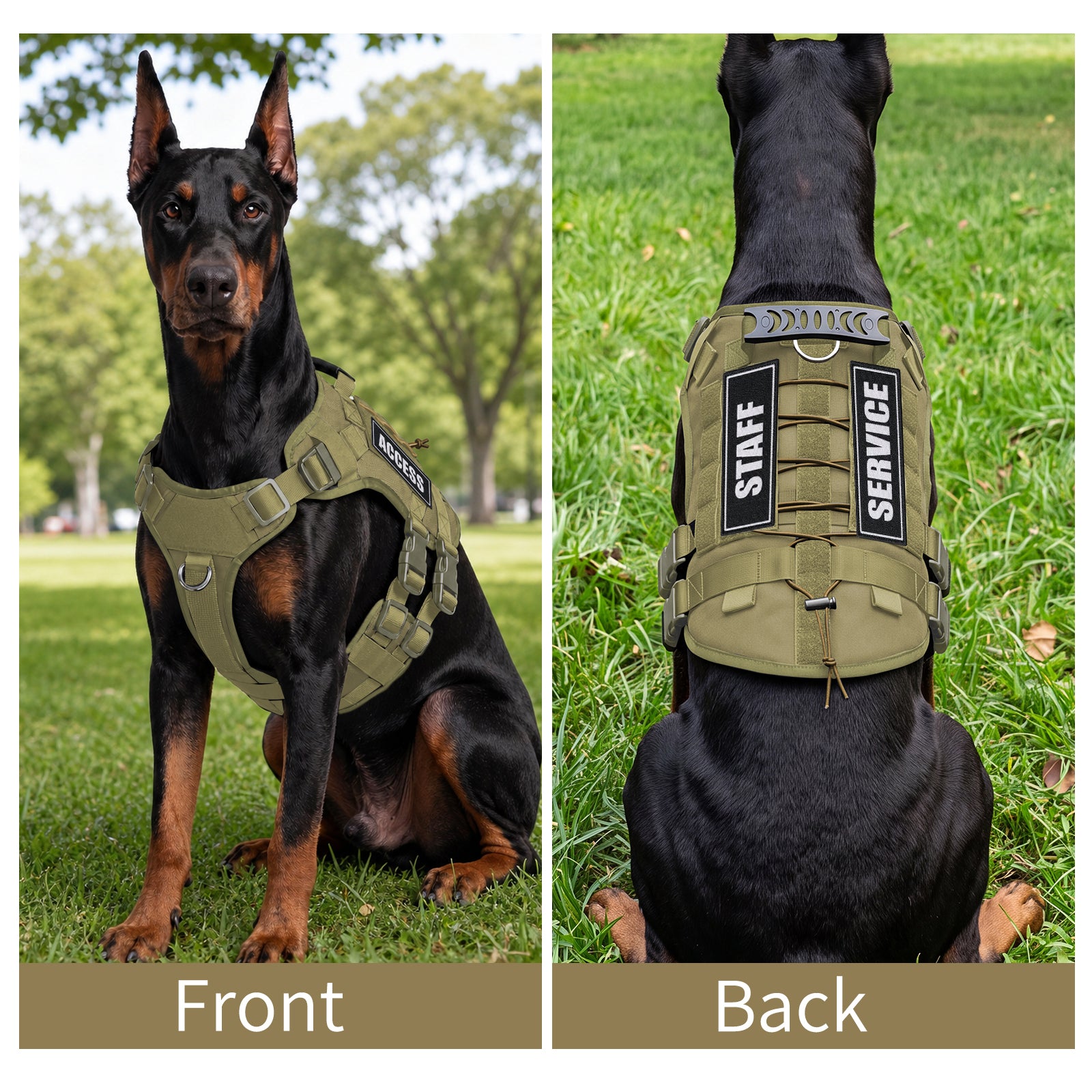 Tactical Dog Harness for Medium Dogs, Heavy Duty No Pull Dog Harness with Handle, Adjustable 6-Buckle Pet Vest for Pitbull, Border Collie, Boxer, Walking, Training, Hunting
