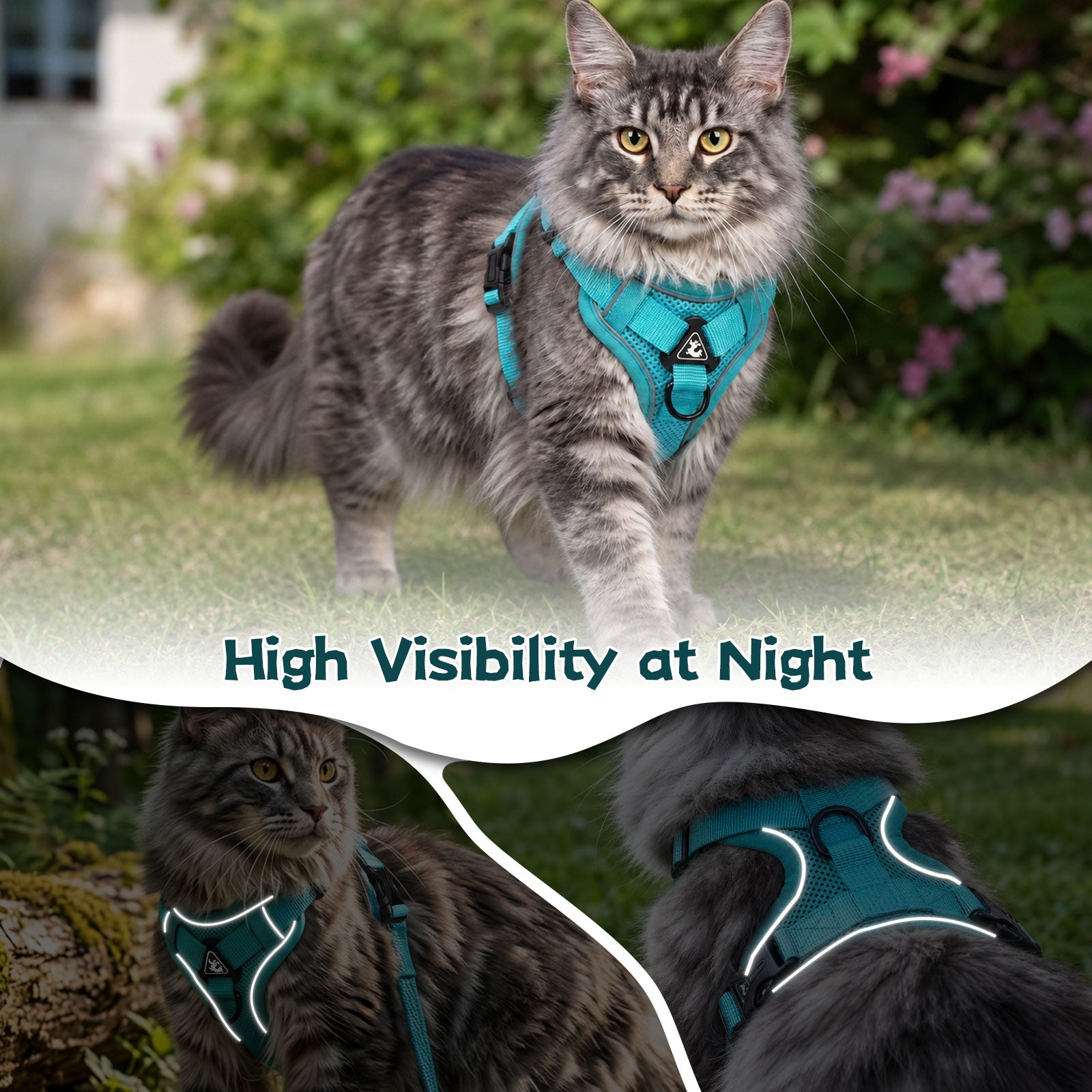 Cat Harness and Leash Set| Escape Proof Adjustable Mesh Vest with Reflective Strips, No-Choke Soft Breathable Harness for Medium Kitten