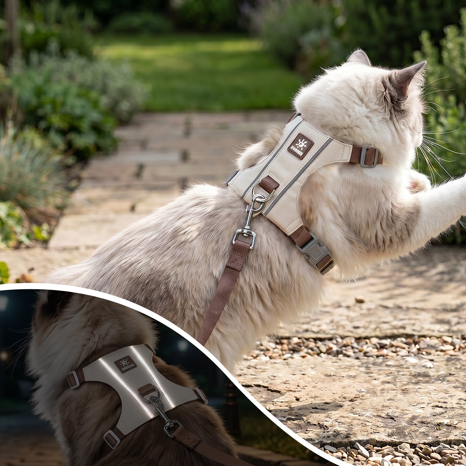 Cat Harness and Leash Set, Escape Proof Soft Kitten Vest with Reflective Strips, Tear-Resistant Taffeta Adjustable Harness for Small Cats Outdoor Walking