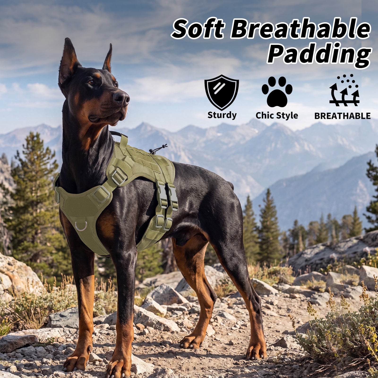 Tactical Dog Harness for Medium Dogs, Heavy Duty No Pull Dog Harness with Handle, Adjustable 6-Buckle Pet Vest for Pitbull, Border Collie, Boxer, Walking, Training, Hunting