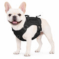 Tactical Dog Harness for Medium Dogs, Heavy Duty No Pull Dog Harness with Handle, Adjustable 6-Buckle Pet Vest for Pitbull, Border Collie, Boxer, Walking, Training, Hunting
